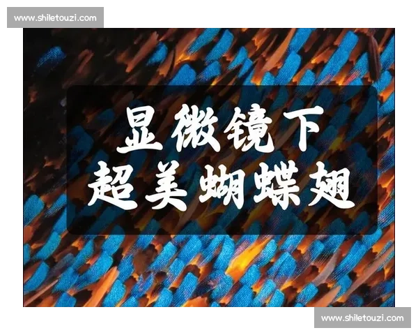 宁波网赛 “格莱美慢镜”：每一帧都是视觉盛宴