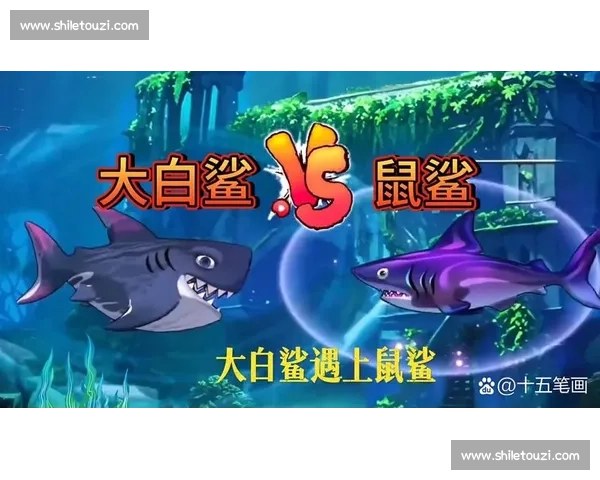 鲨鱼vs海洋霸主对决自然力量与生存智慧的终极较量巅峰之战纪实